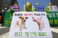  '불살생은 부처님의 말씀'…채식으로 실천해요 [TF사진관]