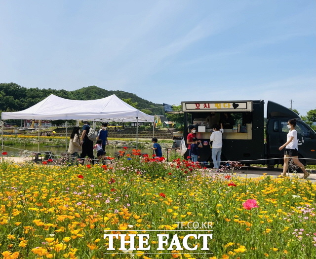 봄꽃 가득한 장성 황룡강에 푸드트럭이 운영돼 방문객들의 호응이 높다./장성군 제공