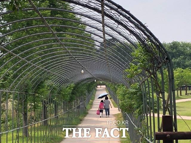 충북 청주시의 낮기온이 30도까지 오르는 등 초여름 날씨를 보인 지난 14일 오후 흥덕구 오송호수공원에서 모녀가 양산을 쓰고 걷고 있다. / 전유진 기자