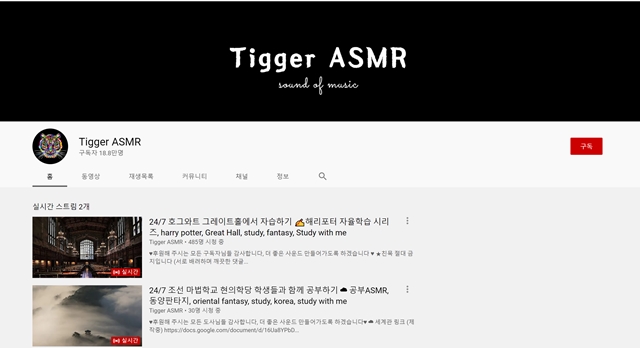 다양한 사운드를 제공하는 구독자 18만 명의 ASMR 채널 Tigger ASMR에서 가장 인기 있는 실시간 스트리밍 방송은 호그와트 그레이트홀에서 자습하기다. / 유튜브 채널 Tigger ASMR 캡처