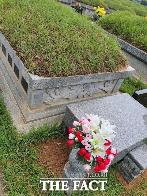 윤 전 총장 조부 묘 상석 근처에 보수작업을 한 흔적이 있다./이훈학 기자