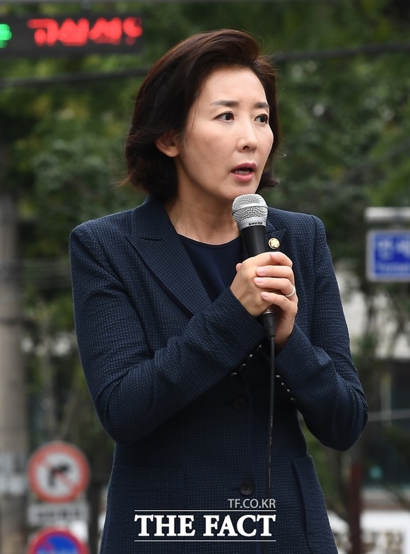 나경원 전 의원이 민주당을 향해 설익은 추측으로 민심을 흩트리지 말라며 민주당을 저격했다. /더팩트 DB