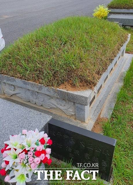 윤 전 총장의 조부 묘 봉분 일부에 잔디가 뽑혀 흙이 드러나 있다./이훈학 기자