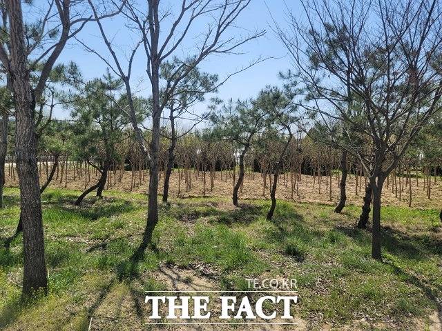 세종시가 농지와 임야의 이용 실태조사를 벌인 결과 166필지에서 불법 행위가 확인됐다./더팩트 DB