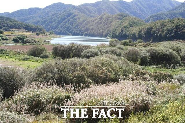 충북 옥천군 대청호 안터지구. 환경부는 27일 안터지구를 국가 생태관광지역으로 선정했다. / 충북도 제공