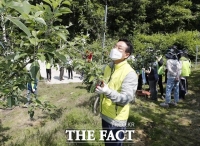  이차영 괴산군수ㆍ직원들, 휴일 농가 일손돕기 '구슬땀'