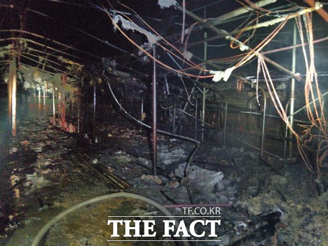 31일 오전 2시 58분께 익산시 낭산면의 한 양계장에서 불이 나 닭 8000마리가 소사되고 1시간10분 만에 진화됐다.