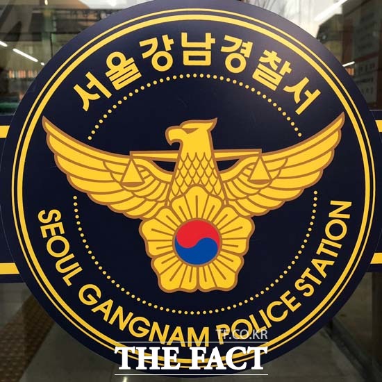 지난 28일 서울 강남 한복판에서 폭행 사건이 발생해 경찰이 수사에 나섰다. /더팩트DB