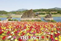  백일홍·석죽 2만 송이 활짝 핀 단양 도담삼봉