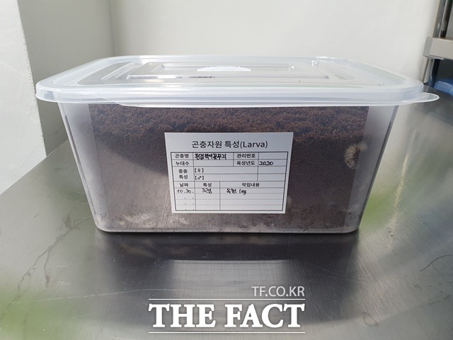 충북도농업기술원이 지역별 우량계통을 선발해 대량 생산한 흰점박이꽃무지 등 우량 곤충종자 3종 120㎏을 전국 곤충 농가에 보급한다. 곤충 보급상자. / 충북도 제공