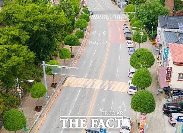 단양의 새로운 명물로 떠오른 복자기길. / 단양군 제공