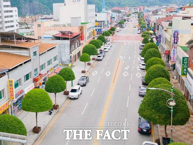 단양 읍내에 도로변에 조성된 버섯모양의 복자기. / 단양군 제공