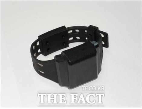 경찰의 수사를 받던 50대가 전자발찌를 훼손하고 도주했다 붙잡혔다. / 법무부 제공