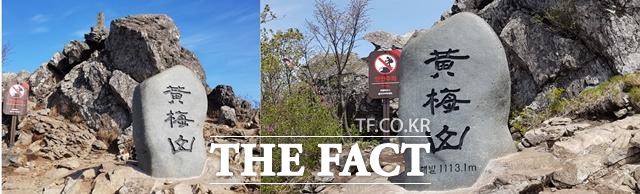 산청군 황매산 표고 수정전(왼쪽)과 수정 후(오른쪽) 정상석/산청군 제공