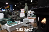  서울 확진자 206명…가락시장 집단감염 100명↑