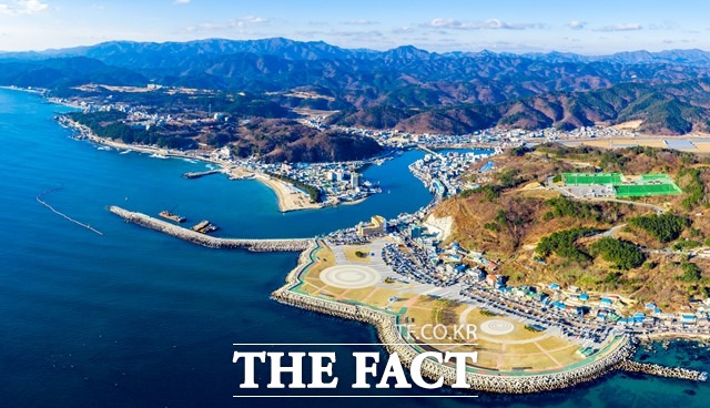 코로나19에도 불구하고 지난해 가장 많은 여행객들이 다녀간 것으로 집계된 영덕 강구항 전경/영덕군 제공