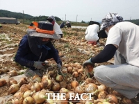  함평군 공무원, 영농철 농촌일손돕기 나선다 