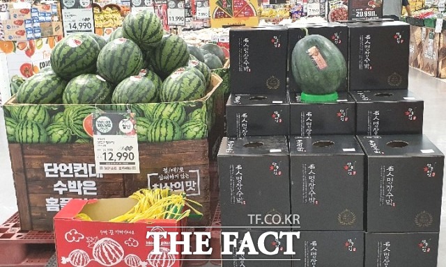 정읍은 연중 일조량이 많고 비옥한 토양과 물이 풍부해 수박 재배에 있어 최적의 조건을 갖춘 지역으로 단풍미인 씨 없는 수박은 현재 전국에서 가장 품질이 뛰어나다는 평가를 받고 있다. / 정읍시 제공