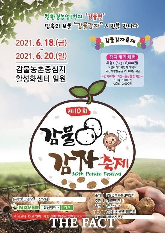 괴산군 감물면 감자축제 포스터. / 괴산군 제공