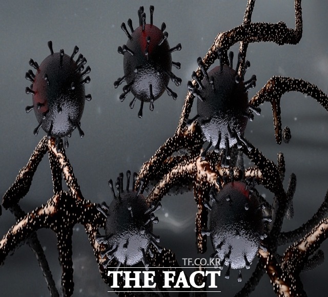 8일 제주도내 확진자 중 변이 바이러스 감염자 8명이 추가로 확인됐다. / 픽사베이