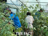  충북 '생산적 일손봉사' 참여 9만4000명 육박… 코로나19 일손 빈자리 채워