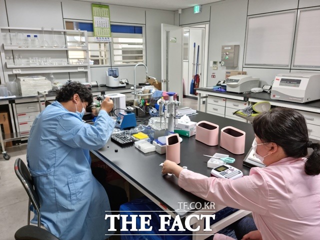 괴산군농업기술센터 농산물안전분석실이 영국 식품환경연구청(FERA)이 운영하는 국제숙련도평가(FAPAS) 프로그램에 처음으로 참가해 잔류농약 분석능력의 우수성을 인정받았다. 농산물안전분석실에서 연구원들이 잔류농약검사를 하고 있다. / 괴산군 제공