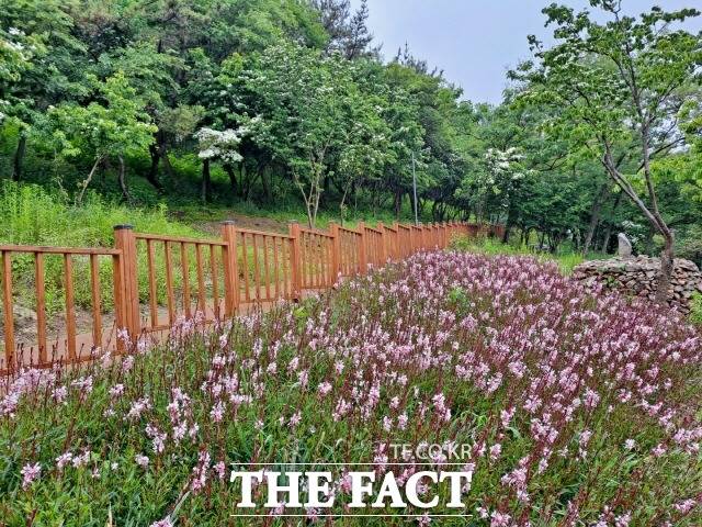 해변맛길 30리조성사업에서 개통된 2구간 환경생태길 삼학도./목포시 제공