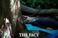  제주 웰니스 관광지 인증 공모...7월 4일까지 온라인 접수