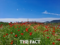  목포시, 꽃의 향연 만끽하는 해변맛길 30리 남항구간 개통