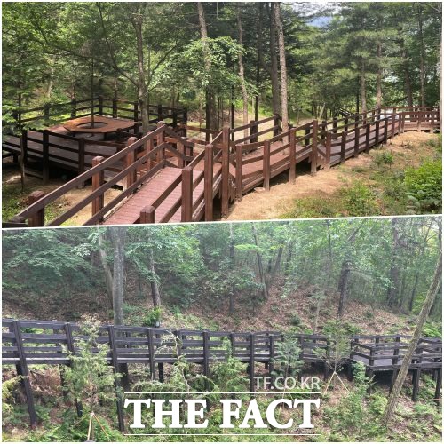 전북 남원시가 시민들의 여가 활동 증진을 위해 덕음산 솔바람길을 350m에 달하는 편백나무 숲길로 조성했다, /남원시 제공
