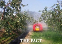  충북 과수화상병 무서운 기세로 확산… 축구장 336개 면적 피해