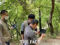 산림청, 인천·경기 산림 내 불법행위 184건 적발