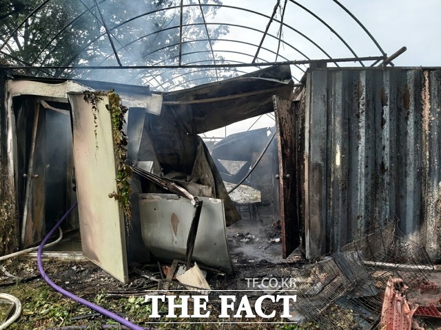평택시의 한 농장에서 화재가 발생해 축사에 있던 개와 고양이 등 80여 마리가 죽었다./경기도소방재난본부 제공