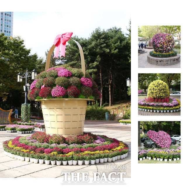 지난해 열린 대전 유성 국화전시회 / 대전 유성구 제공