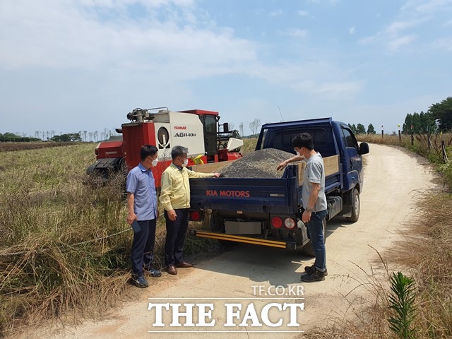 22일 고창군이 공음면 청보리밭2지구 5㏊에서 유채 15t을 수확했다. /고창군 제공