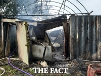  '모기향 때문에'…평택 사육장 화재 개·고양이 80여마리 죽어