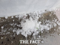  충주 우박 쏟아져 농작물 '쑥대밭'…충북 80㏊ 피해