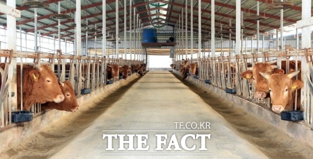 유진섭 정읍시장은 “최근 축산업이 전문화, 대형화되면서 악취로 인한 민원 발생 등 사회적 갈등이 심화되고 있는 상황”이라며 “이번 공모사업을 통해 쾌적한 생활환경을 기대하는 시민의 기대에 부응하고 지속 가능한 축산환경 조성을 위해 최선을 다할 것”이라고 밝혔다. / 정읍시 제공