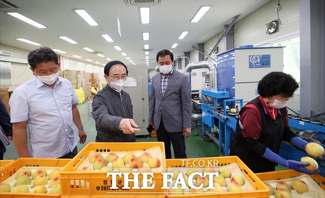 전북 임실군의 대표적인 명품 농산물 임실N복숭아가 지난 23일 부터 본격 출하했다고 밝혔다. /임실군 제공