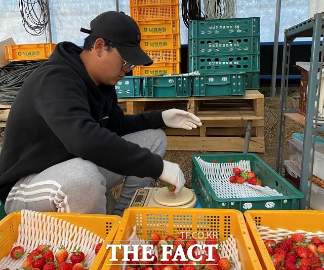 전북 남원시가 2021년도 농림축산식품부에서 공모하는 우수후계농업경영인 추가 지원사업에 9명이 선발되는 쾌거를 이뤘다고 밝혔다. /남원시 제공
