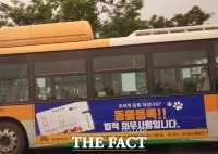  군산시 '반려동물, 사지 말고 입양하세요'