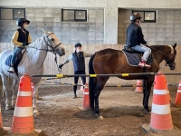  제주시, 승마 입문, 학생승마체험으로 시작하세요