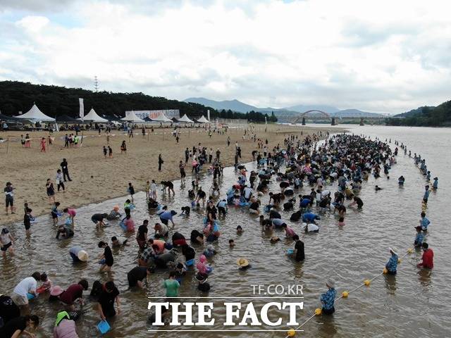 하동 재첩축제에서 참석자들이 재첩을 채취하고 있다./하동군 제공