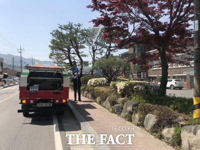 담양군은 돌발해충인 미국흰불나방의 확산을 방지하기 위해 병해충 방제를 실시하고 있다./담양군 제공