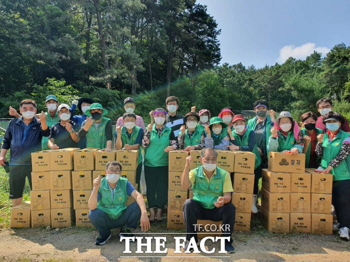 오산시 대원동 새마을회 회원 40여 명은 대원동 소재 경작지에서 어려운 이웃돕기 성금 마련을 위해 심은 ‘사랑의 감자’를 수확했다./오산시 제공