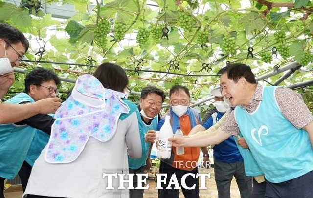 송기섭(오른쪽) 진천군수가 농촌일손돕기에 참석한 직원들과 막거리잔을 기울이고 있다. / 송 군수 페이스북 캡처