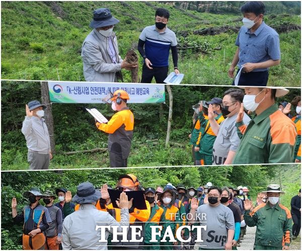 서부지방산림청이 지난 25일 함평군 소재 국유림에서 칡덩굴의 효과적인 제거방법 도입의 일환으로 실시하는 소금처리 덩굴제거 시범사업 대상지를 점검했다. /서부지방산림청 제공