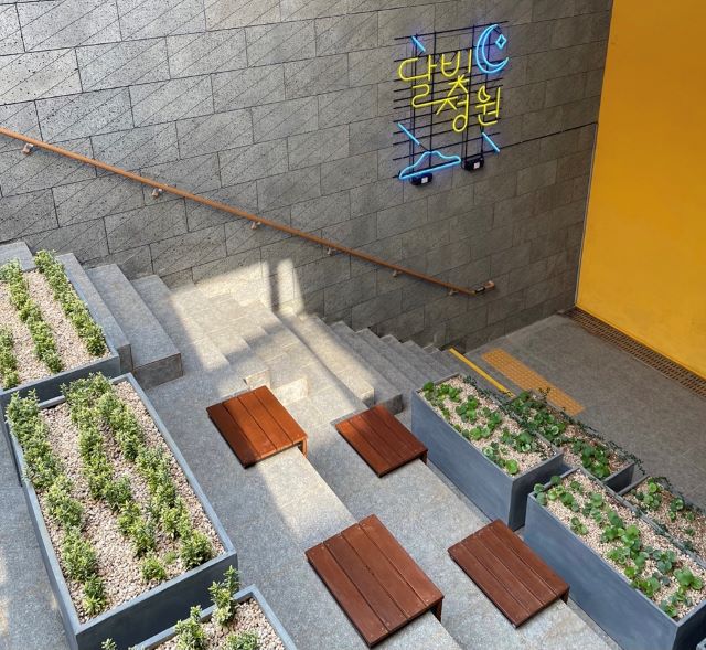 서귀포시 대정읍은 최근 청사 옥상 등 공간에 ‘달빛정원’을 조성했다고 밝혔다. / 서귀포시 제공