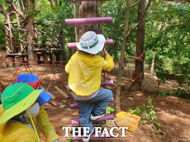 천안시가 도심에서 즐길 수있는 다양한 산림교육 프로그램을 마련해 선보이고 있다. 사진은 프로그램에 참여한 어린이의 모습. / 천안시 제공