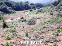  충주시, 과수화상병 감소…사전예방 행정명령 일부 변경